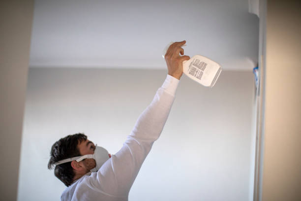 Best DIY Mold Remediation Support Services in Greenacres, FL