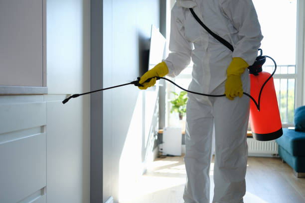 Best Basement Mold Remediation in Greenacres, FL
